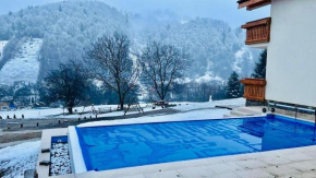 Friends & Family Mountain Resort